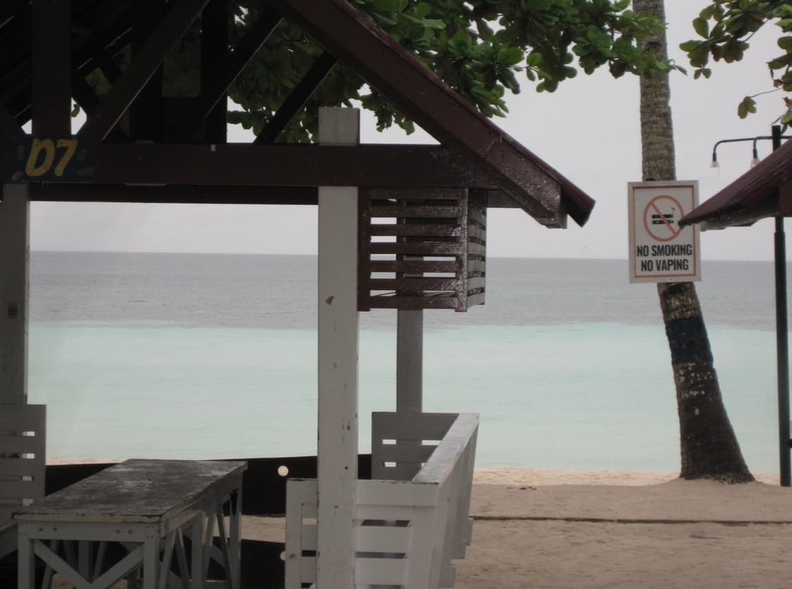 캐논 익서스 95is (익시 110is) 작례o 상품이미지8