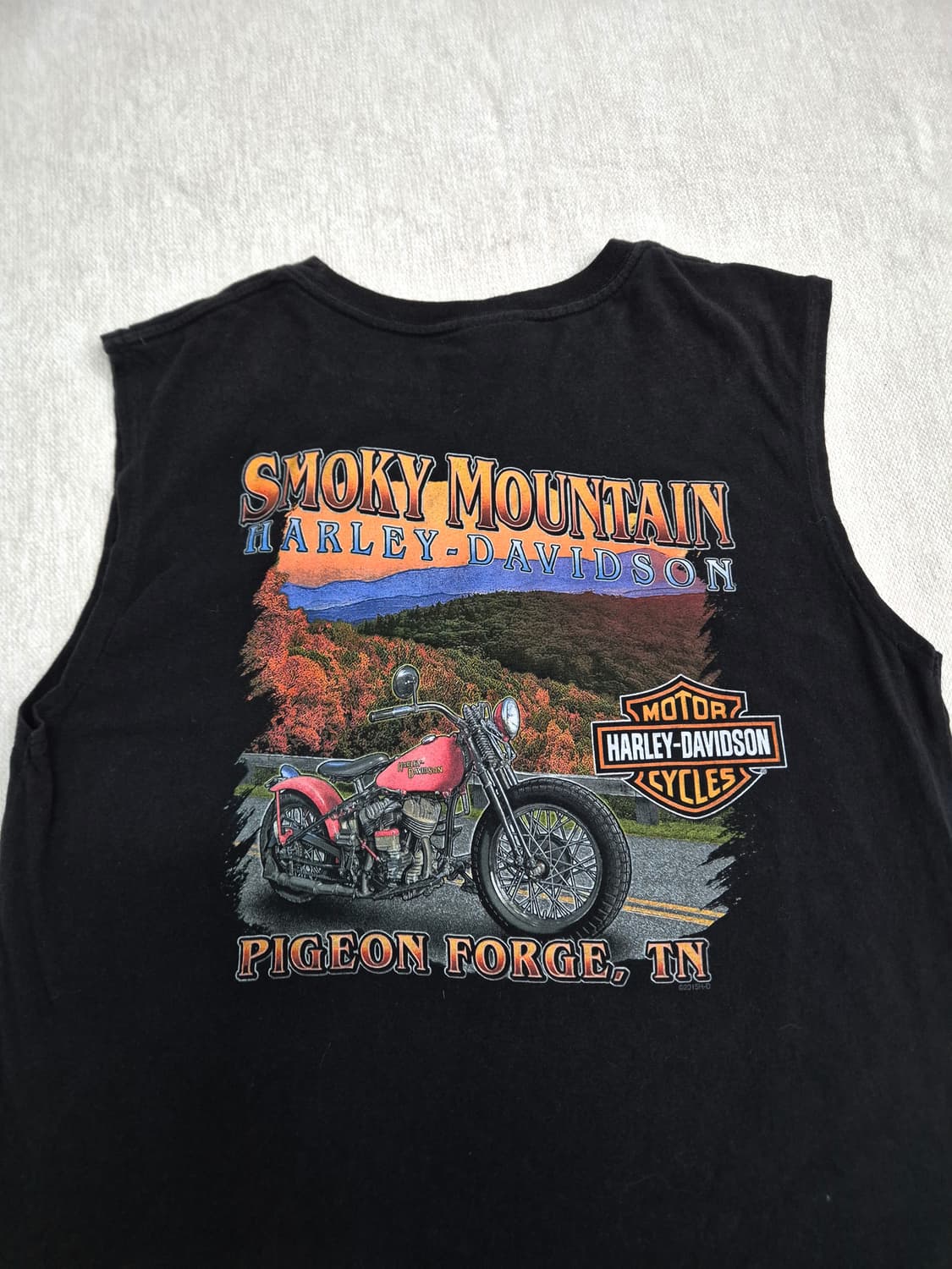 할리데이비슨 나시티 상품이미지6