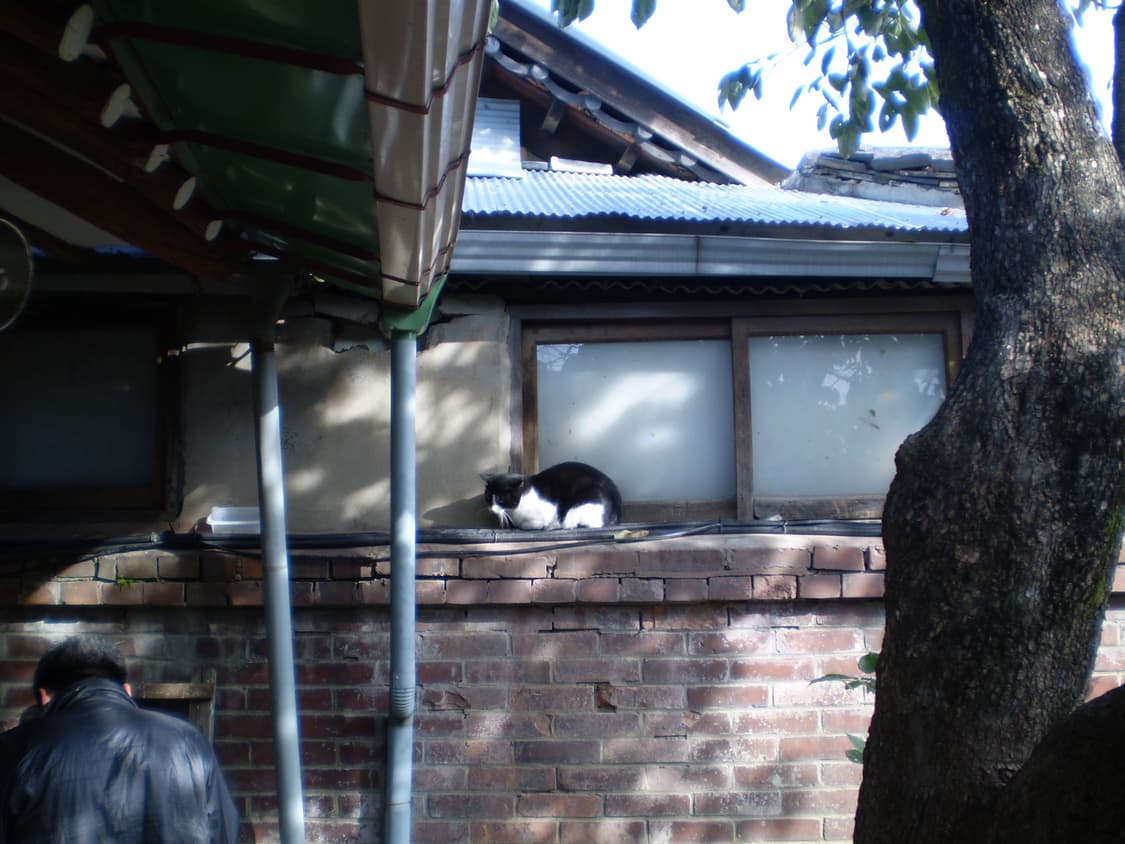 후지필름 FinePix F450 디카 (빈티지 카메라) 상품이미지6