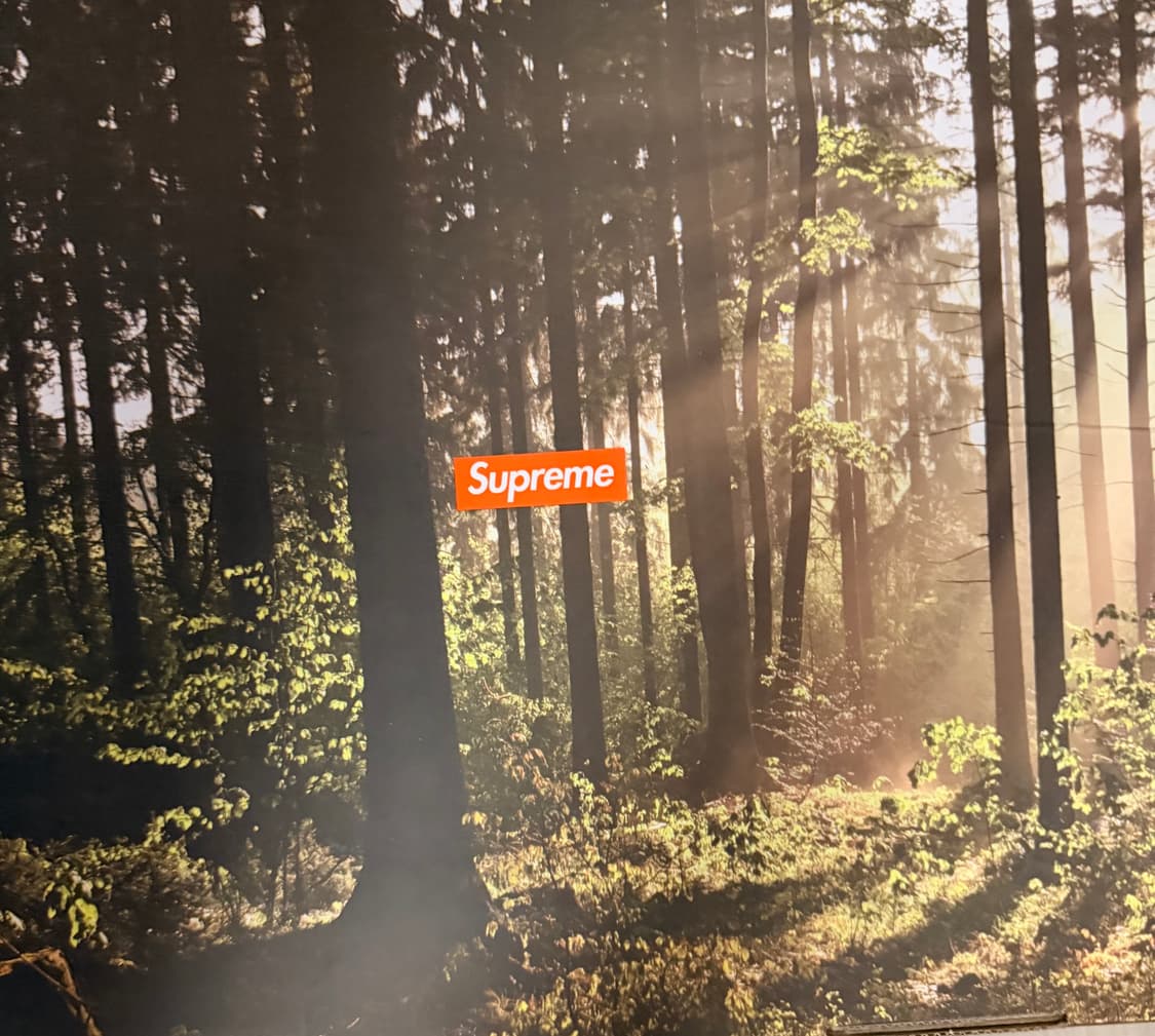 TIMBERLAND x SUPREME Patchwork 6 inch 상품이미지2