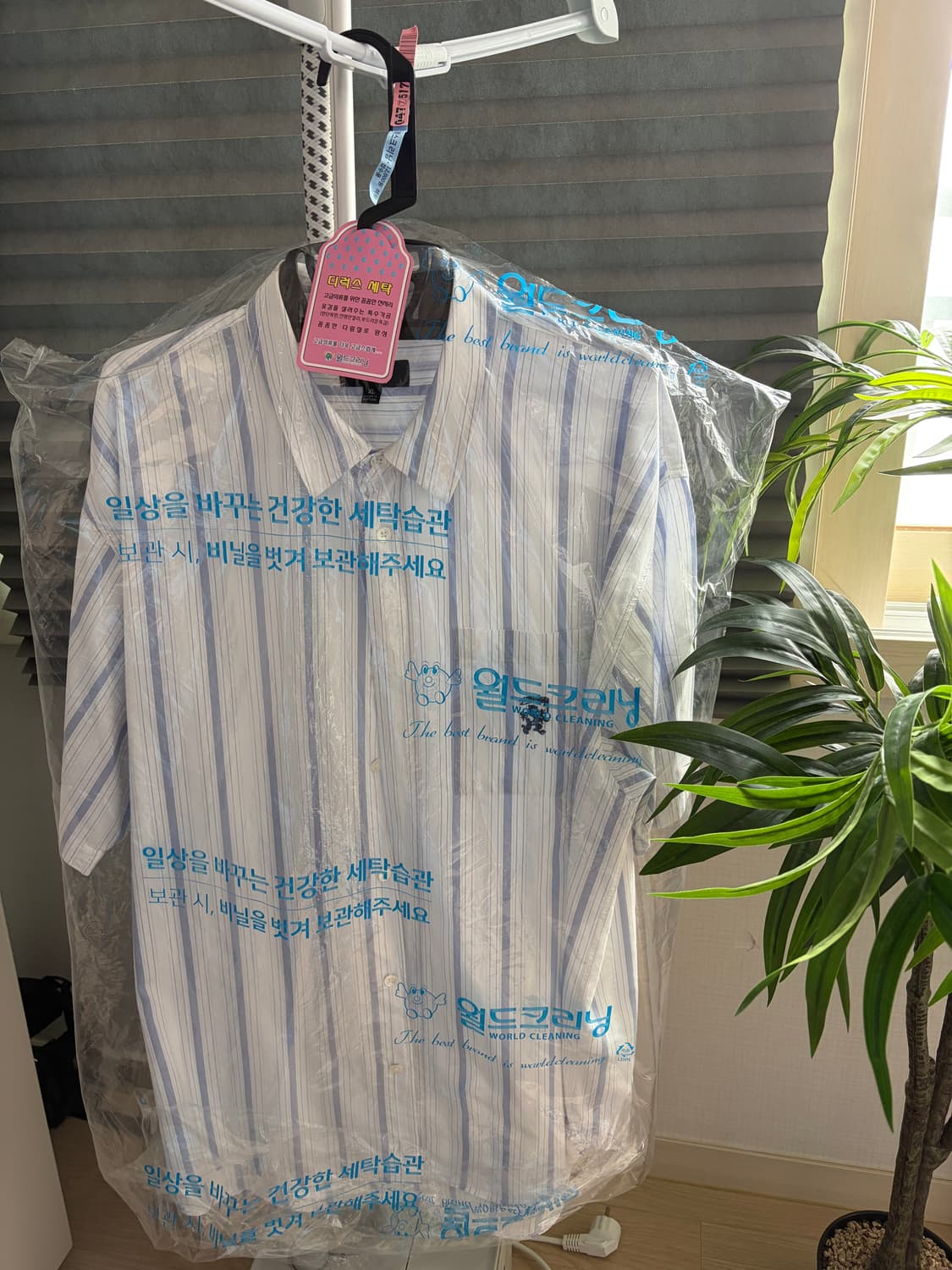 스투시 스트라이프 박스 반팔셔츠 상품이미지1