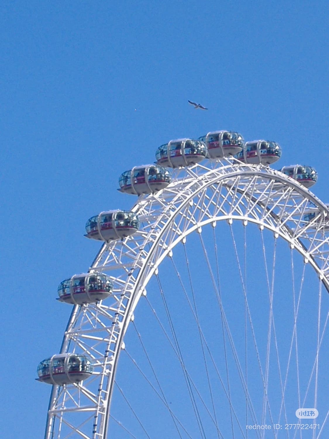 i***님 개인결제창 상품이미지1