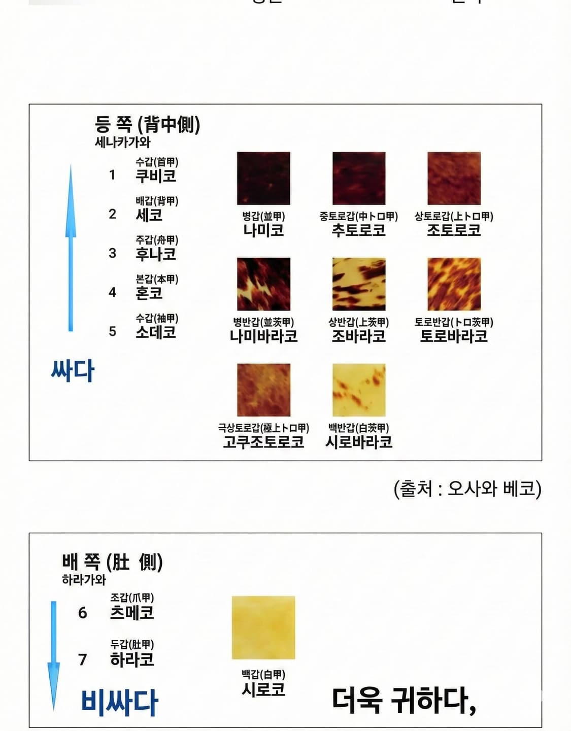 빈티지 귀갑(구갑) 진양철 하금테 안경 상품이미지10