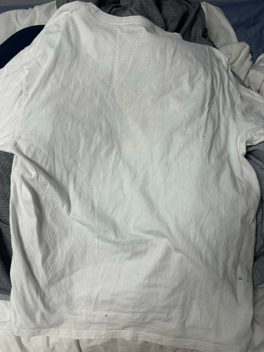 [2] 캐피탈 고양이 티셔츠 상품이미지2