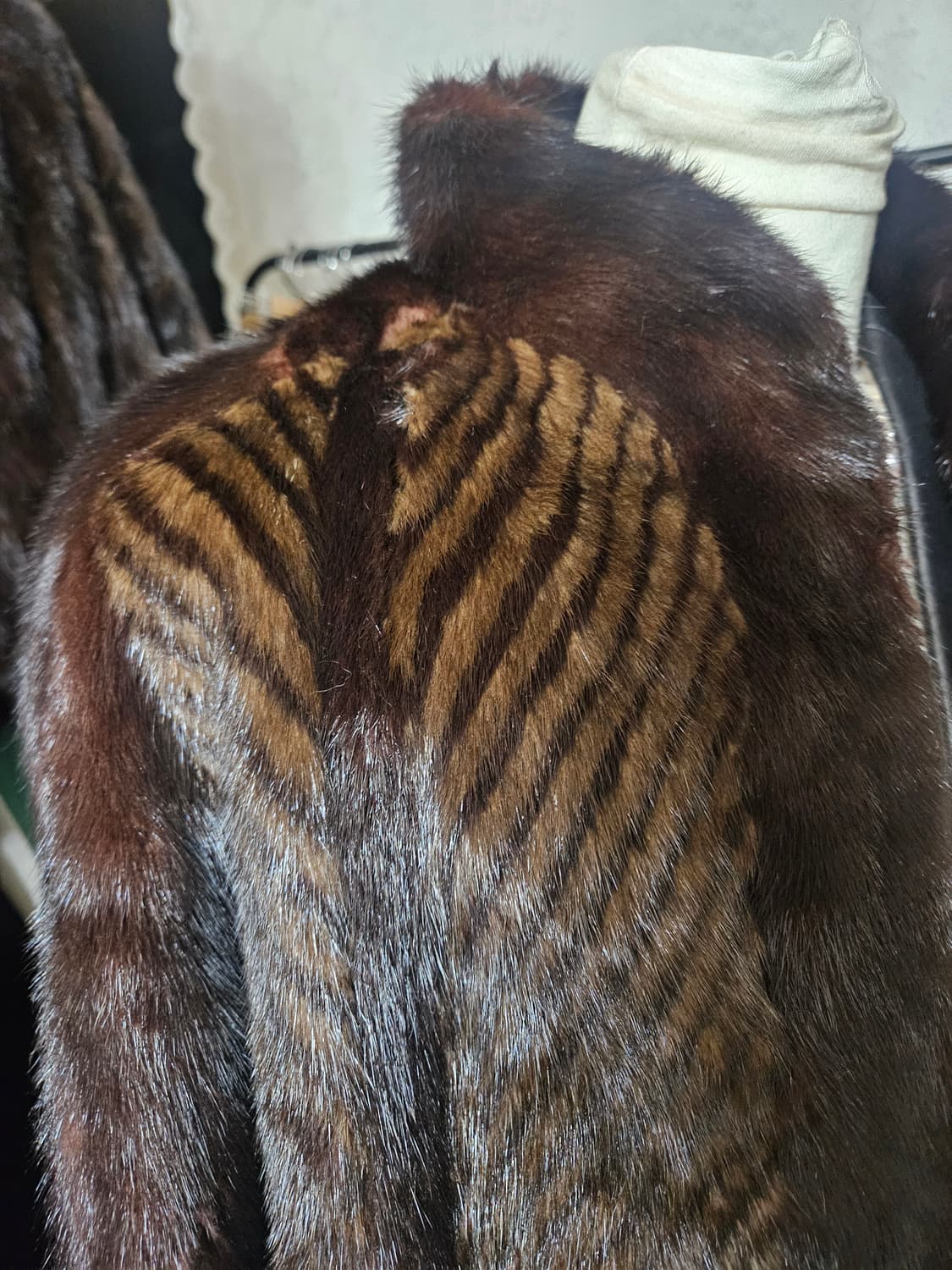 롱 사가밍크  sagamink 상품이미지4