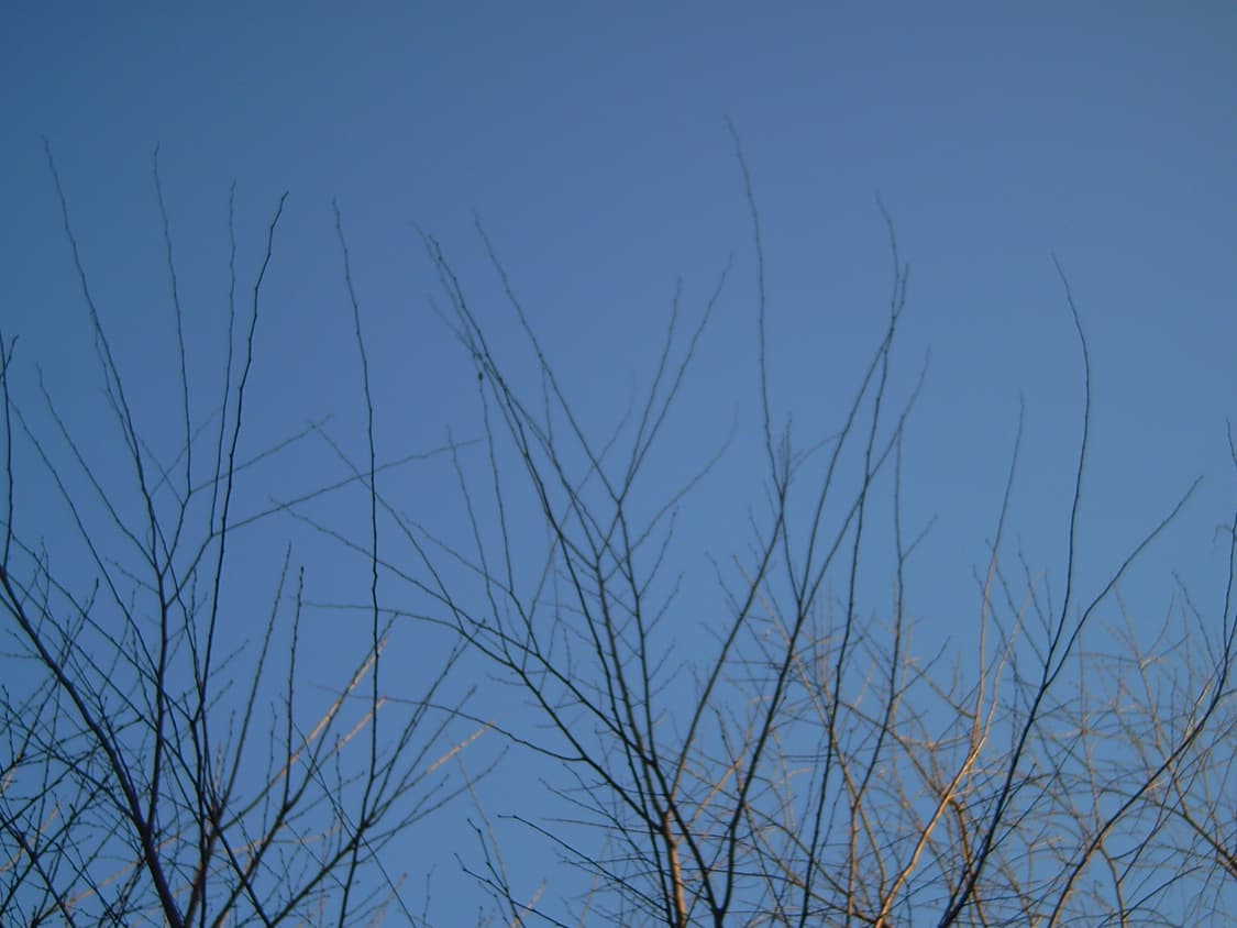 아이스팬 iSpan DDV-720 빈티지 캠코더 디카 상품이미지7