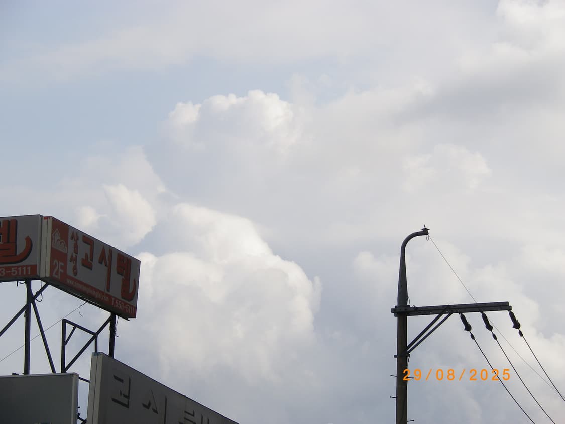 [풀박스] PENTAX Optio RZ10 라임 상품이미지8