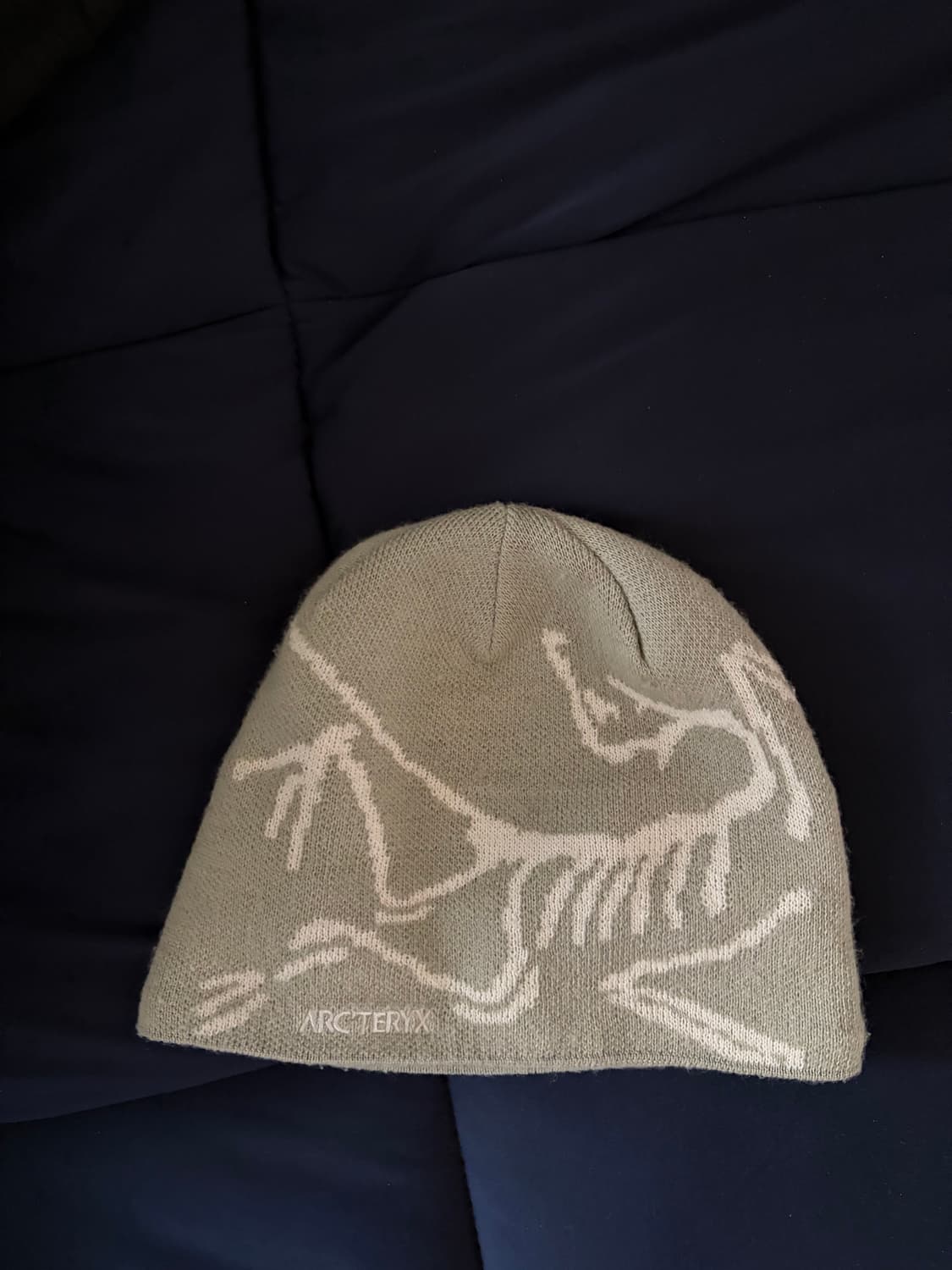 아크테릭스 비니 상품이미지4