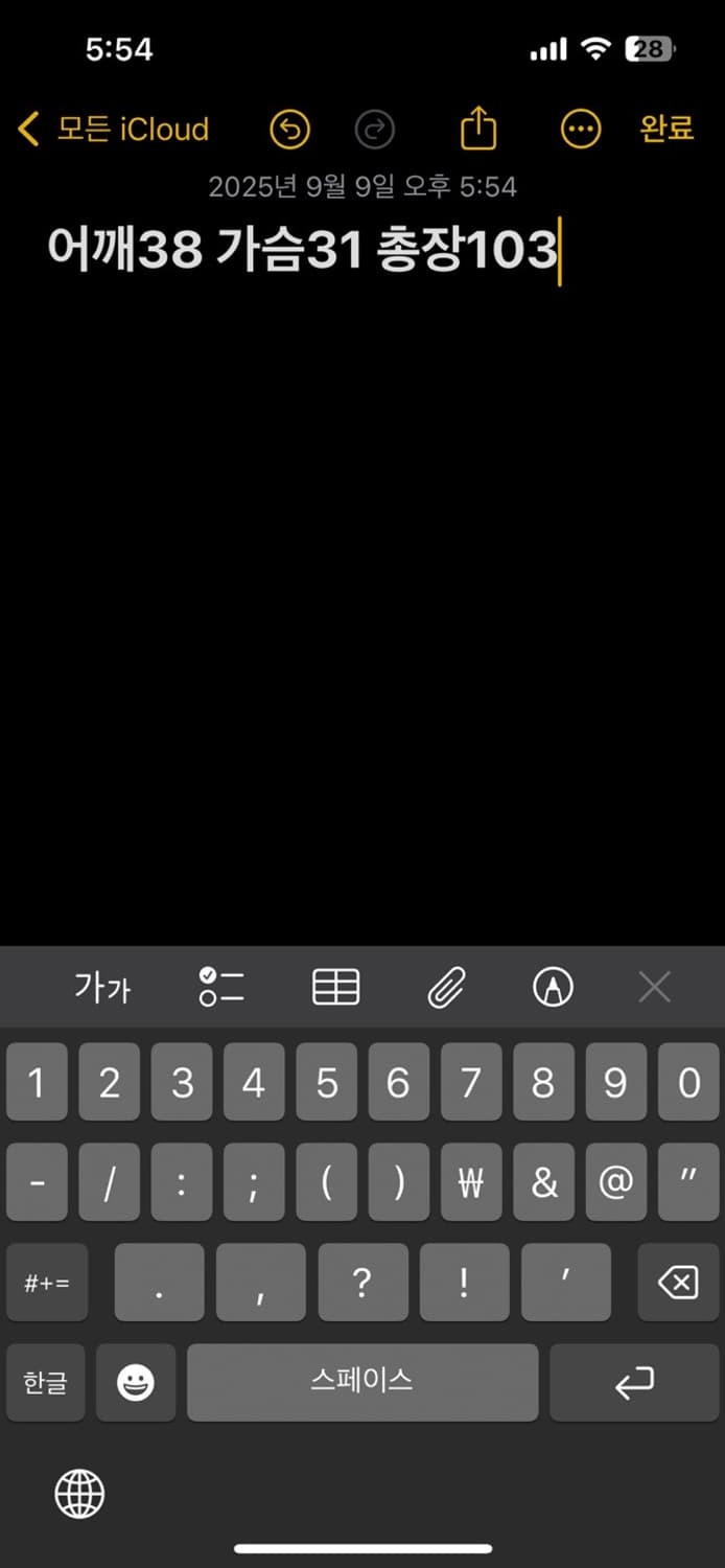 디스이즈네버댓 플라이트 카고팬츠 상품이미지5