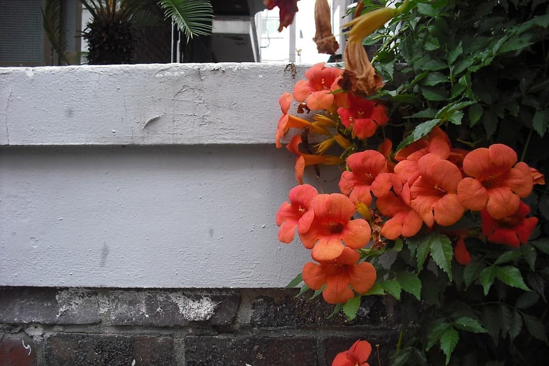 후지필름 파인픽스 J10풀세트 판매 상품이미지9