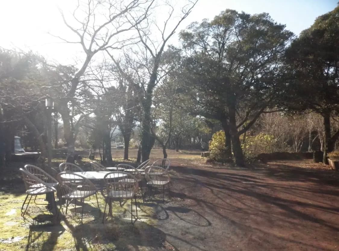 올림푸스 뮤 7010 핑크 (작례⭕️) 상품이미지8