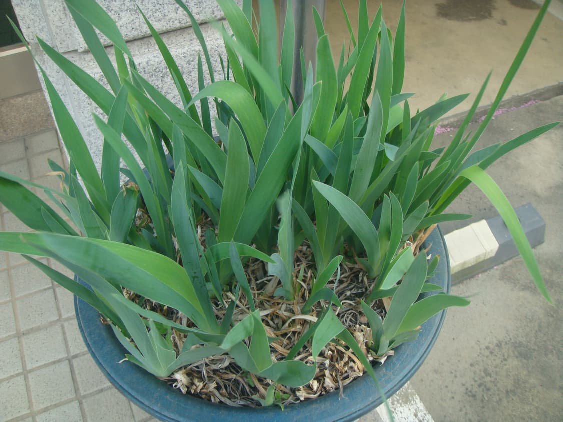 SONY DSC-T70 상품이미지7