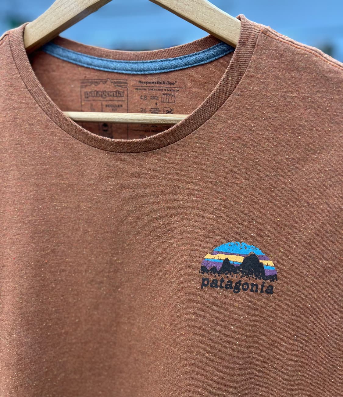 파타고니아 Skyline Stencil Responsibili-Tee 상품이미지6