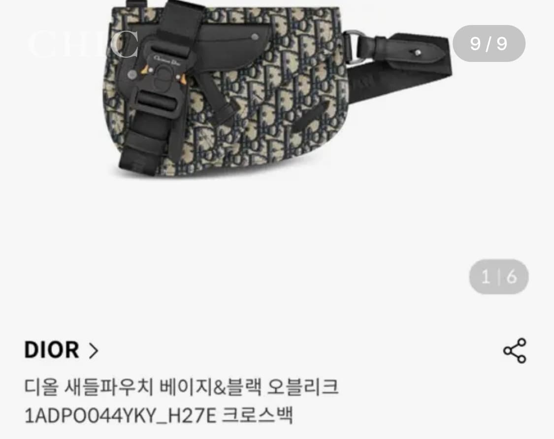 디올 오블리크 새들 파우치 백 (한정판) 상품이미지9