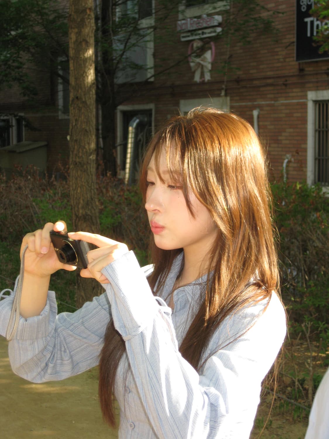 준 미품 강민경 디카 익서스 70=익시 10 작례 o 상품이미지4