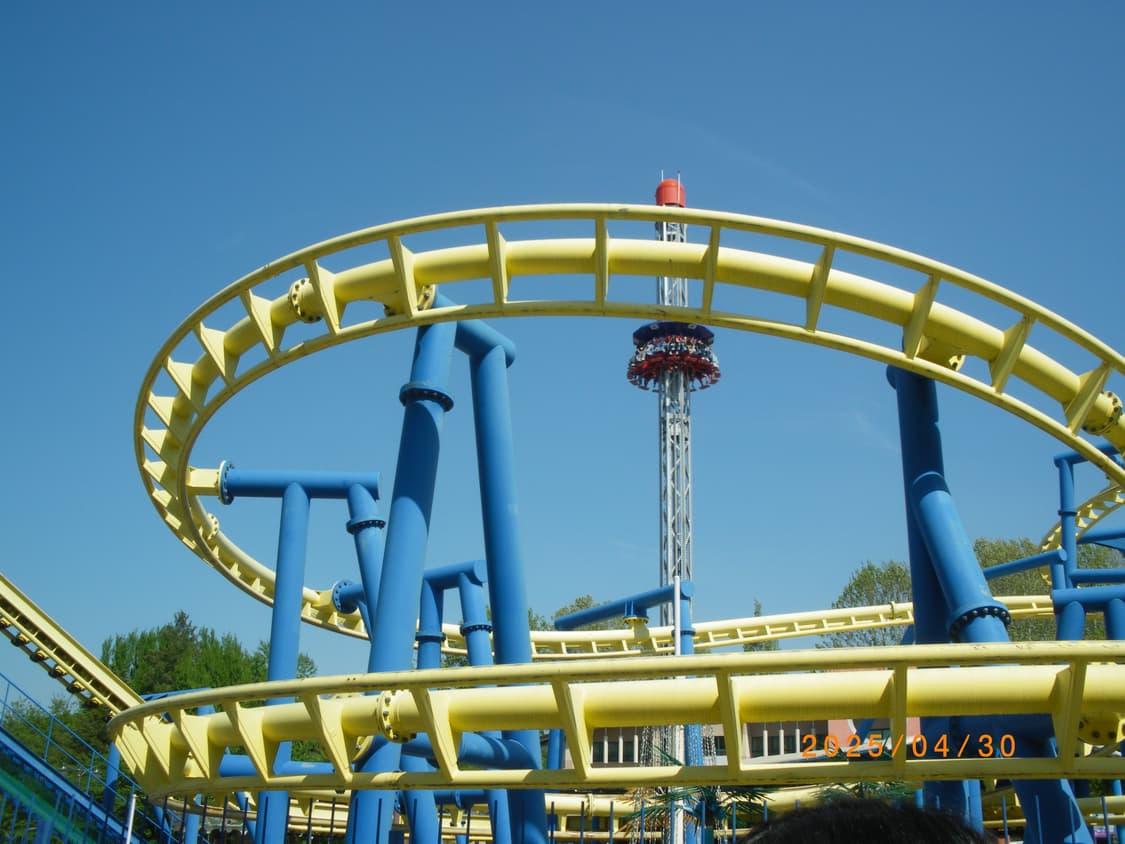 디카) 펜탁스 옵티오 m50, Pentax optio m50 / 작례O 상품이미지6