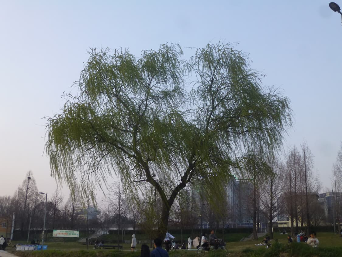 파니소닉 루믹스 DMC-SZ7 작례O 상품이미지7