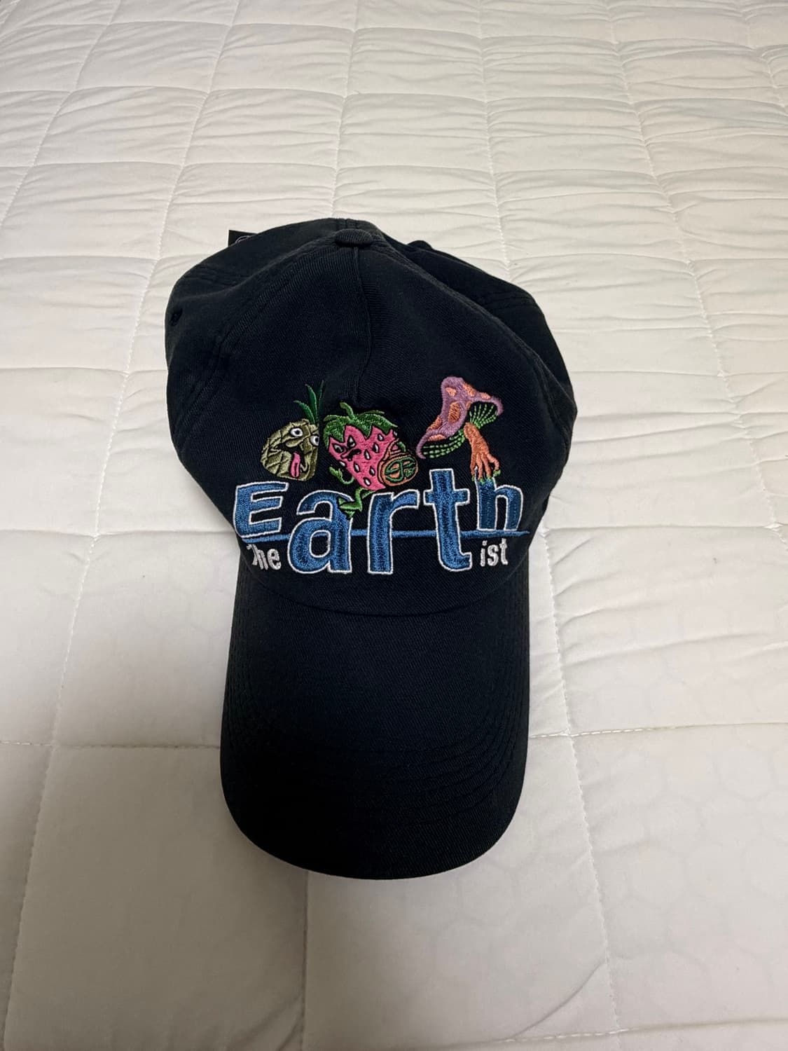 MPQ Earth Artist Cap 팝니다 ! 상품이미지4
