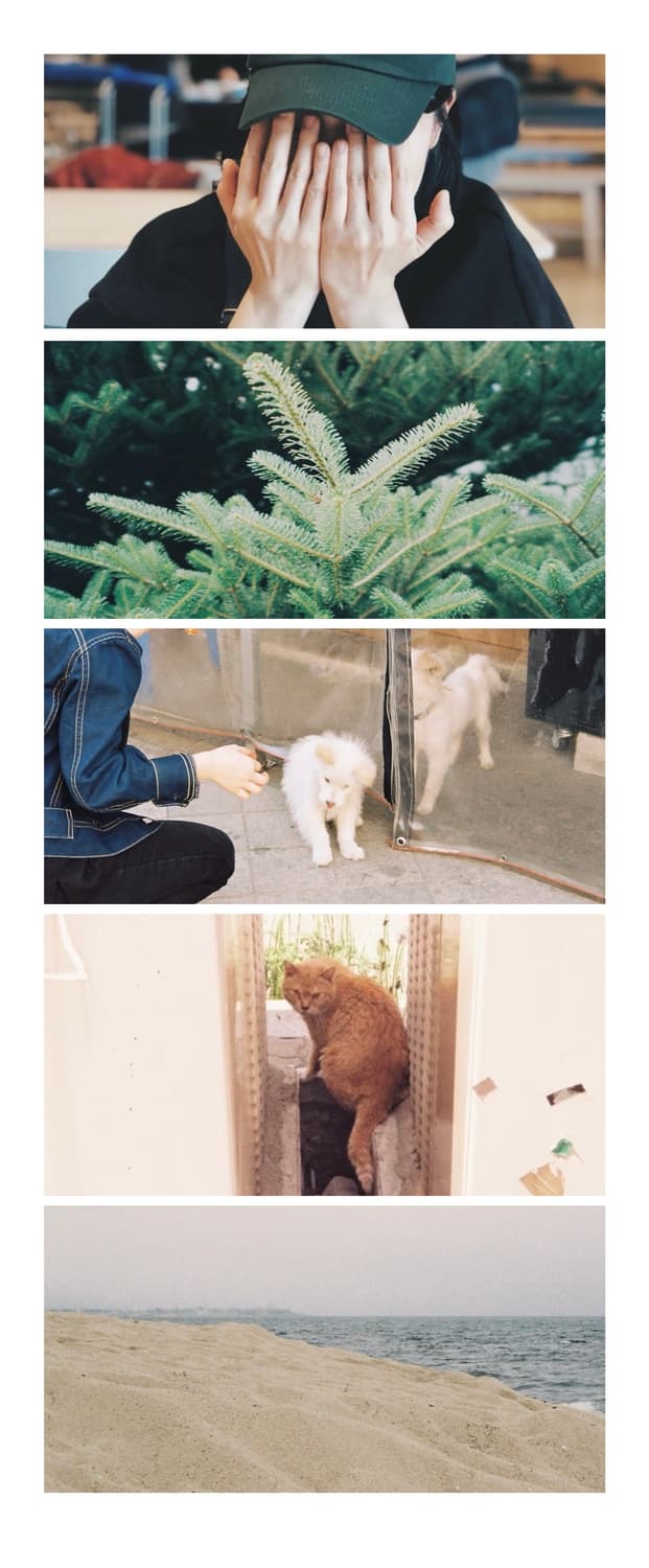 후지 네츄라 클래시카 필름카메라 상품이미지10