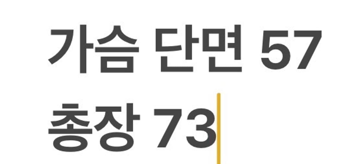 [100] 롯데 자이언츠 2008 부산 야구 유니폼 b10 상품이미지6