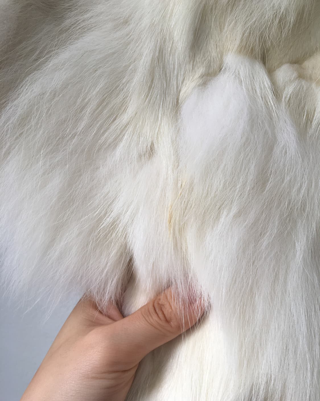 fur bolero 상품이미지6