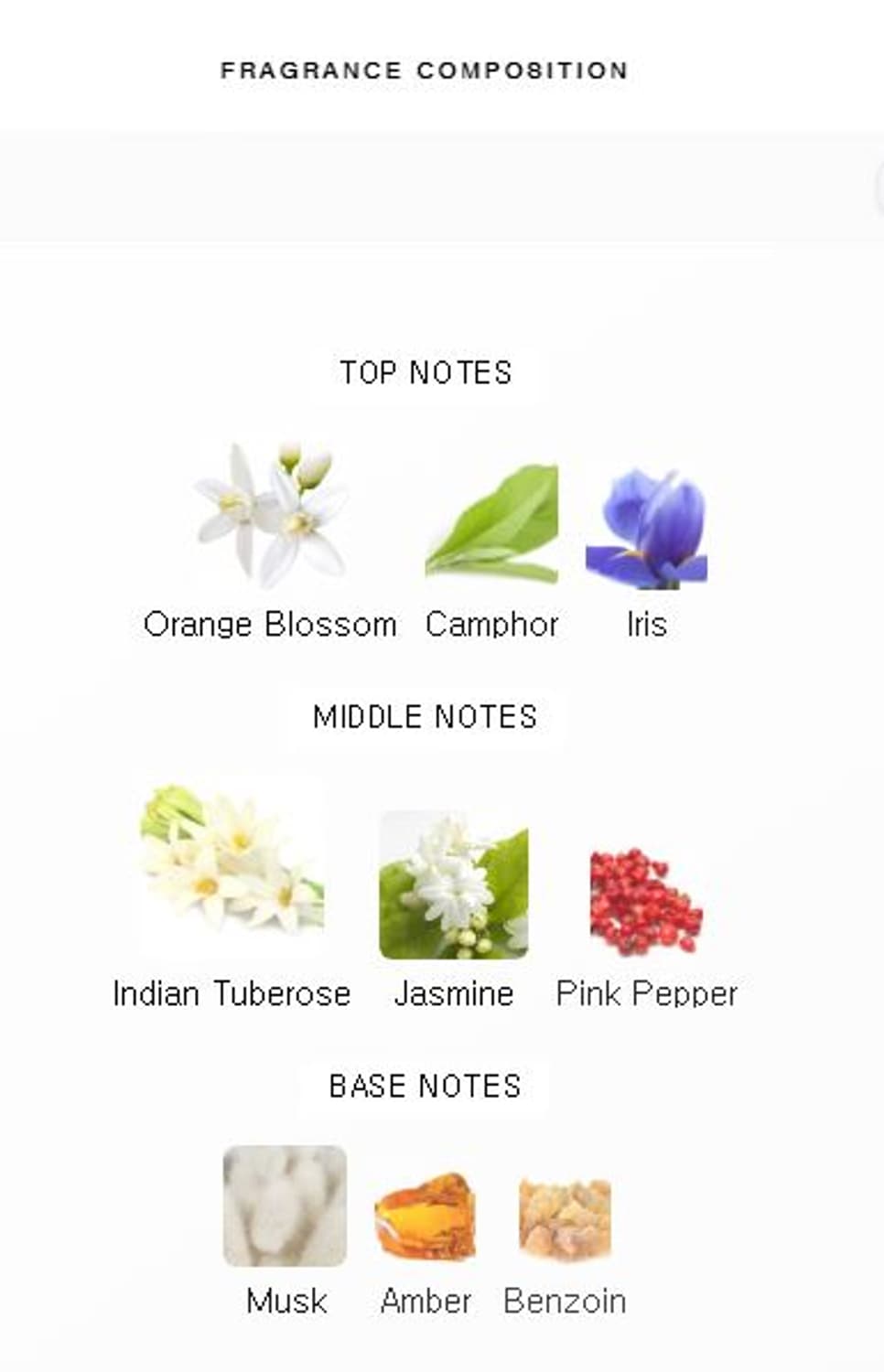 플로리스 튜베로즈 인 실크 오드퍼퓸 EDP 50ml 향수 Floris 상품이미지7