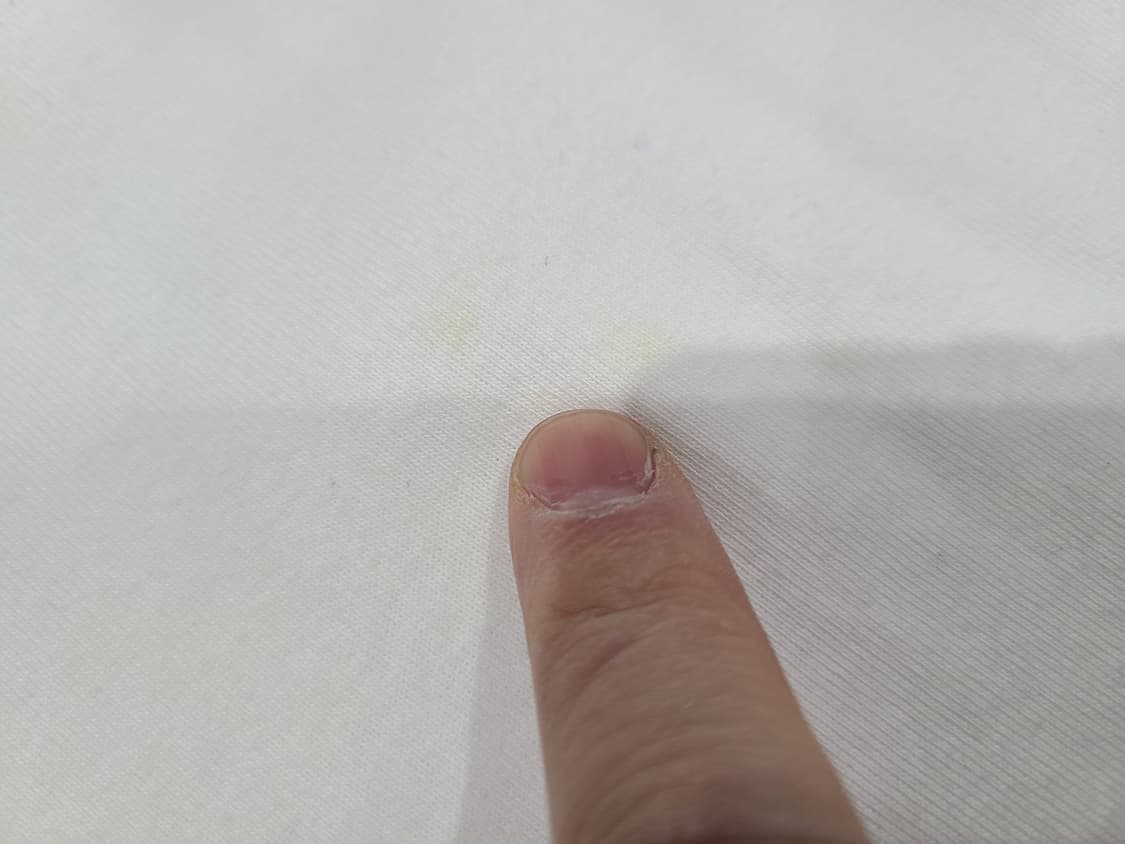 i-D MAGAZINE 씨드비셔스 티셔츠 상품이미지10