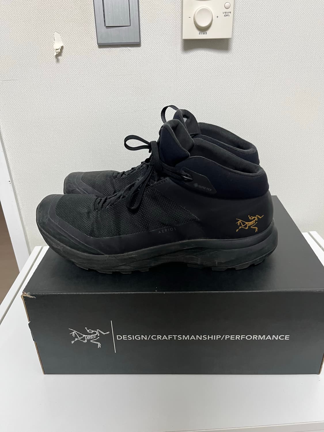 아크테릭스 에어리어스 미드 고어텍스 상품이미지3