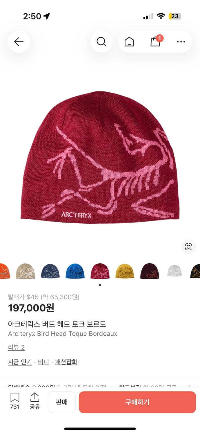 아크테릭스 비니 상품이미지1