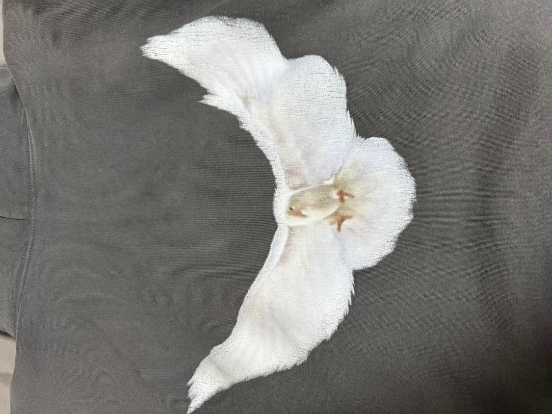 이지 갭 발렌시아가 도브후드 블랙 상품이미지5