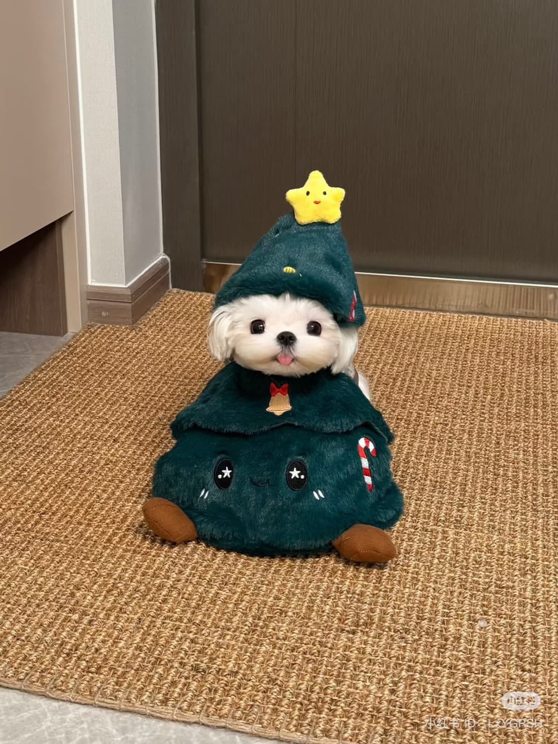 옷장결제 상품이미지1