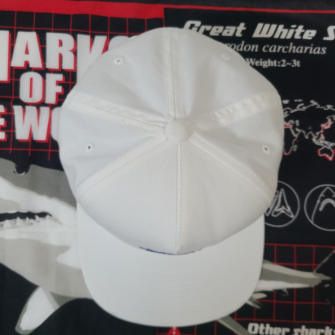 스투시 월드투어 화이트 스냅백 모자 상품이미지3