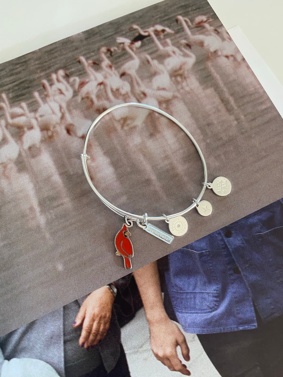Alex and Ani 카디널 참 뱅글 (실버톤) 팔찌 상품이미지1