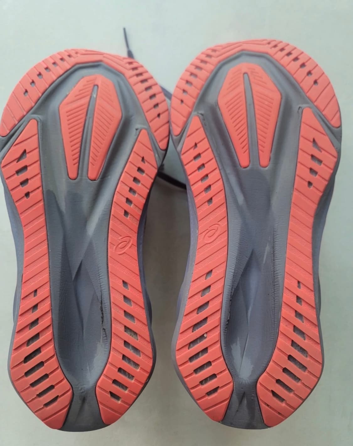 노바블라스트 5 퍼플 코랄 275 상품이미지5