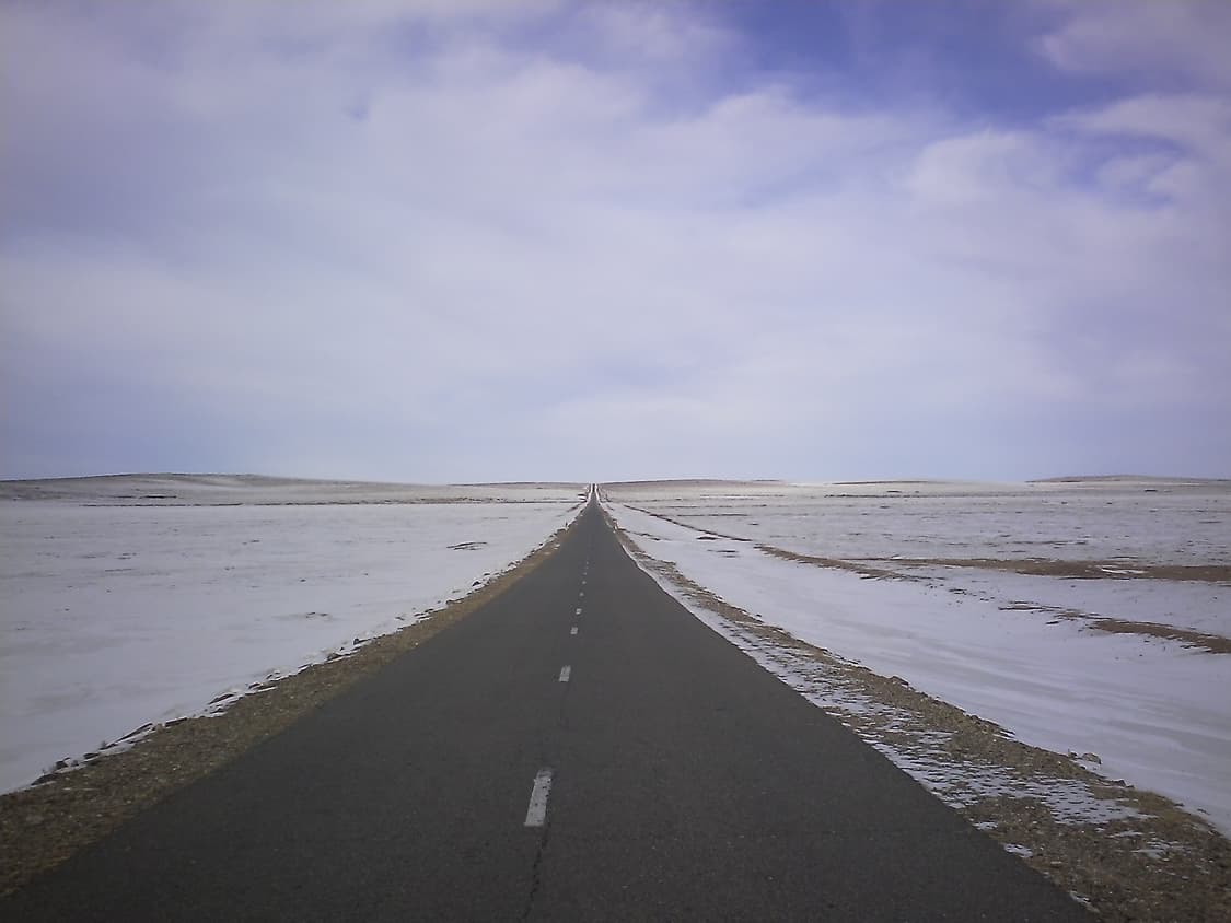 Toshiba BW10 Yellow 상품이미지6