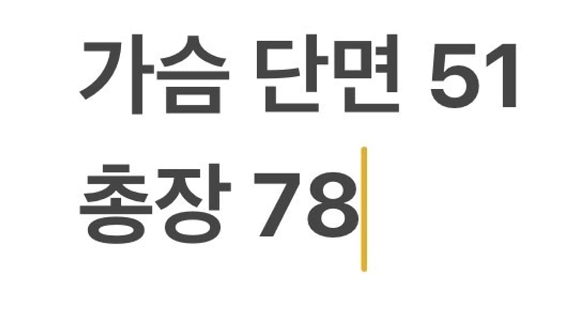[정품/15] 폴로 랄프로렌 스트라이프 셔츠 남방 b13 상품이미지7