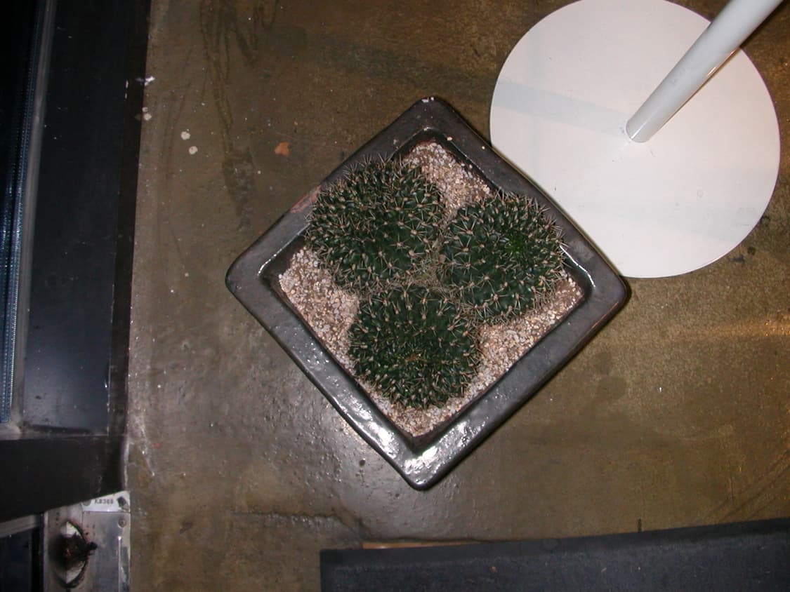 배터리2개/황조지/셀카가능)니콘 쿨픽스 2500 빈티지디카 상품이미지9