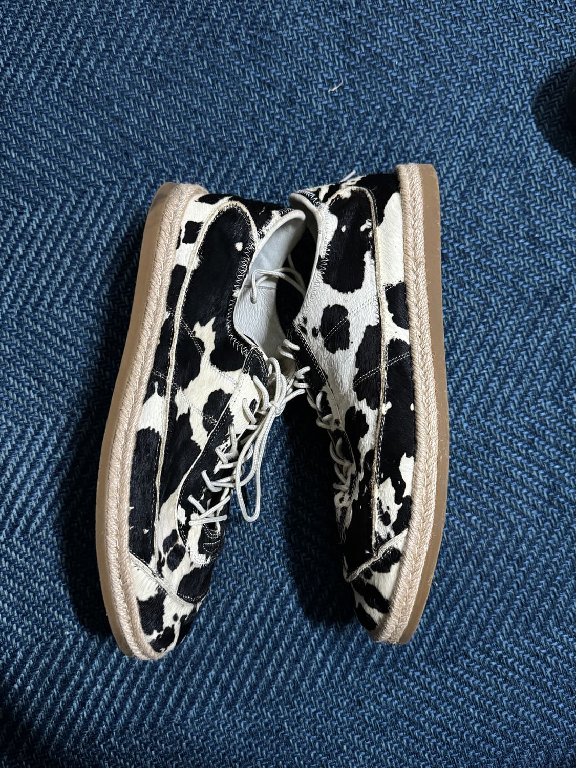 서브카테고리 f161 dalmatian 280 상품이미지5