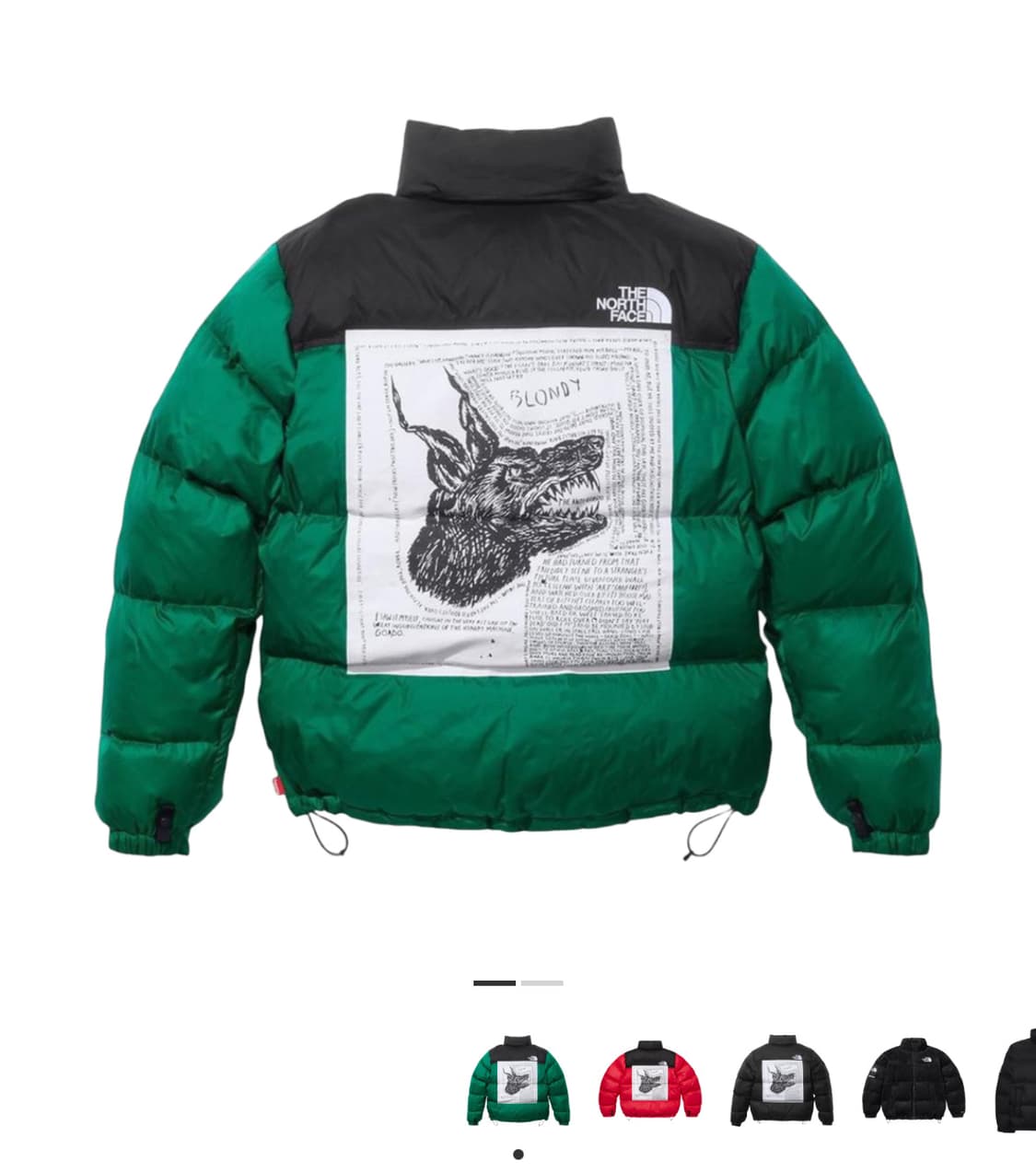 슈프림 노스페이스 눕시 자켓 그린 상품이미지1