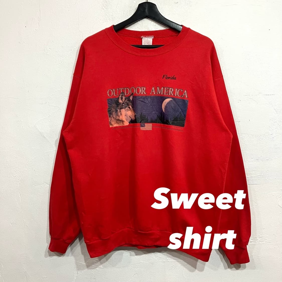 usa 프린팅 맨투맨 상품이미지1