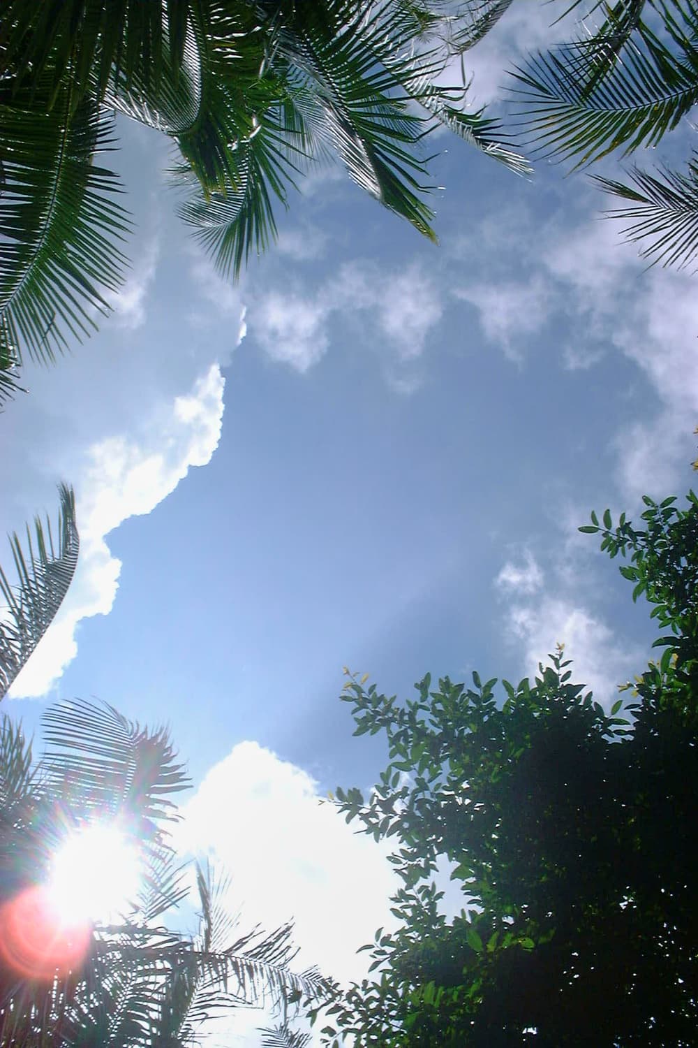 풀박스 파인픽스 2600z  상품이미지3