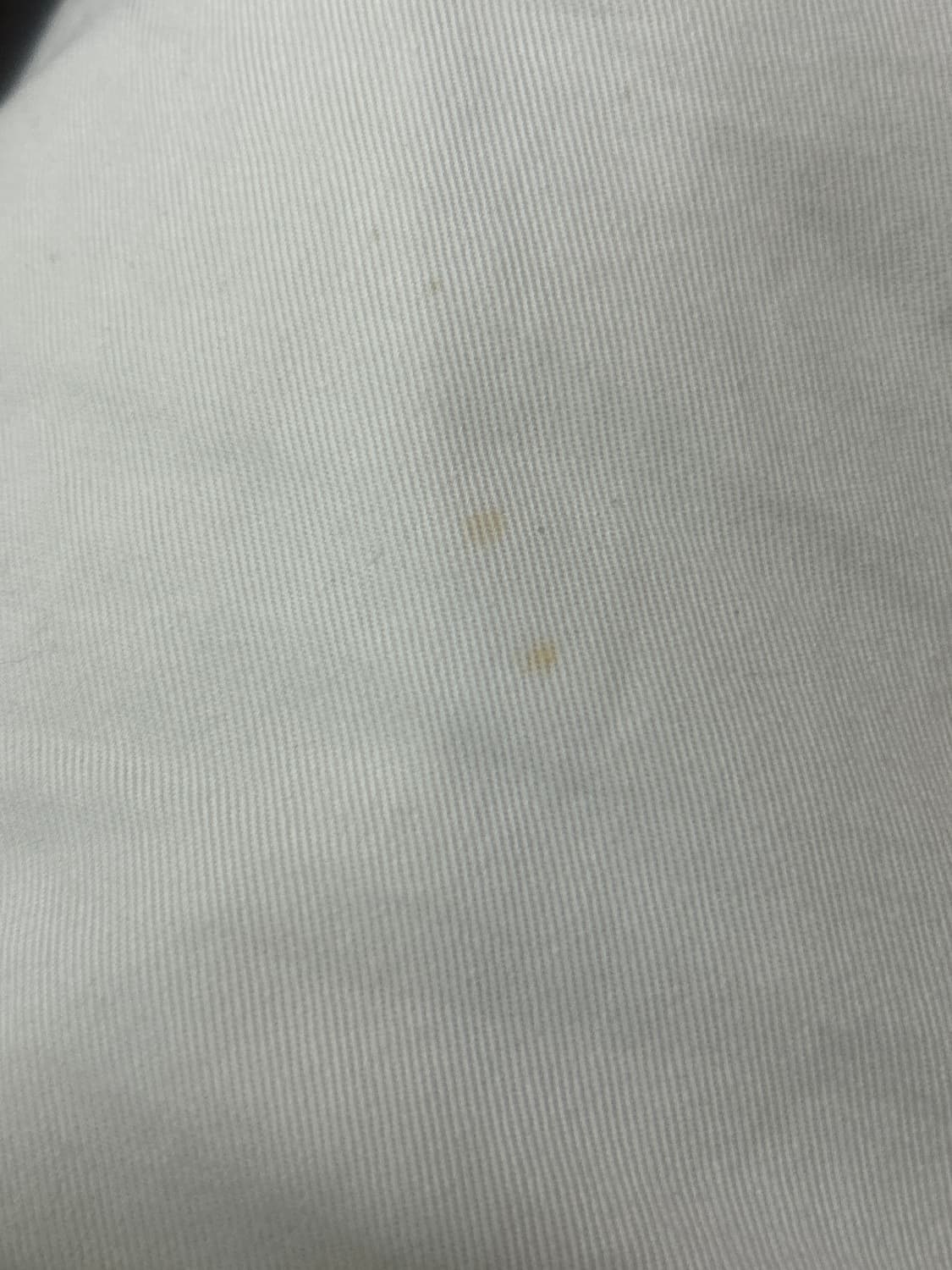 리바이스 아이보리 버뮤다 코튼 팬츠 상품이미지5