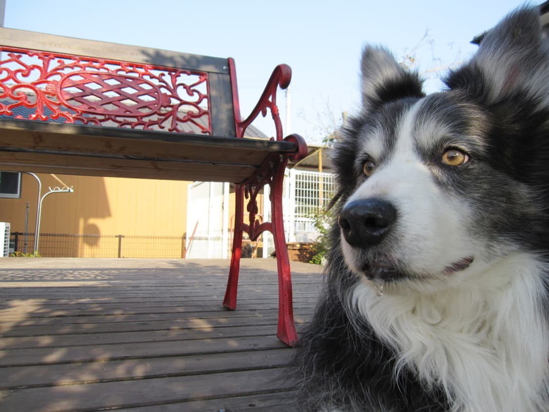 캐논 익서스 Canon IXUS 110 IS 실버 상품이미지3