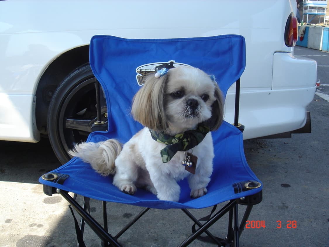 소니 사이버샷 Sony Cyber-shot DSC-T1 실버 상품이미지3