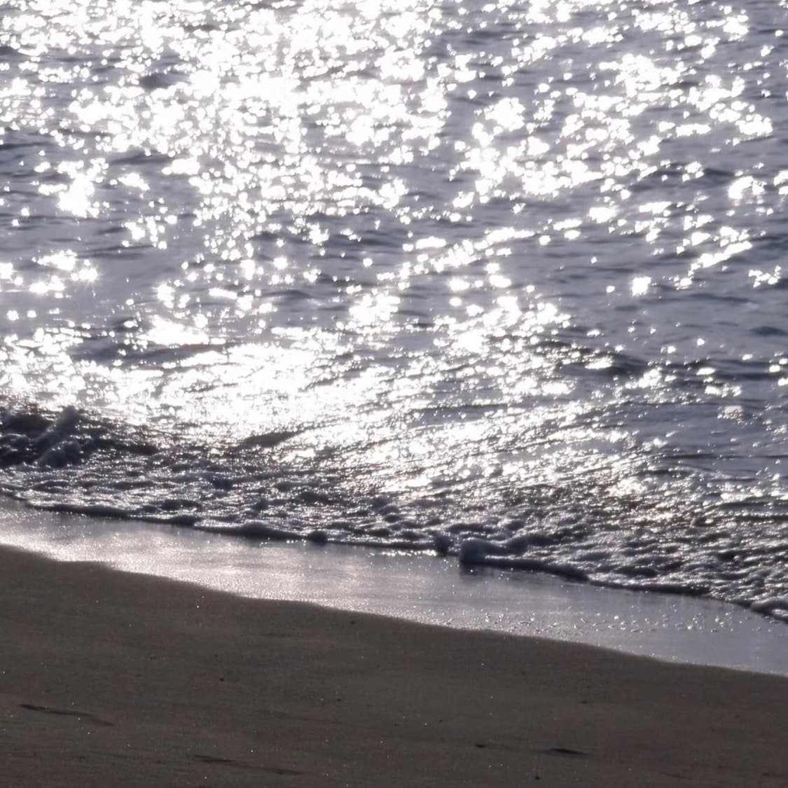 디카 소니 dsc t11 (작례 0) 상품이미지3