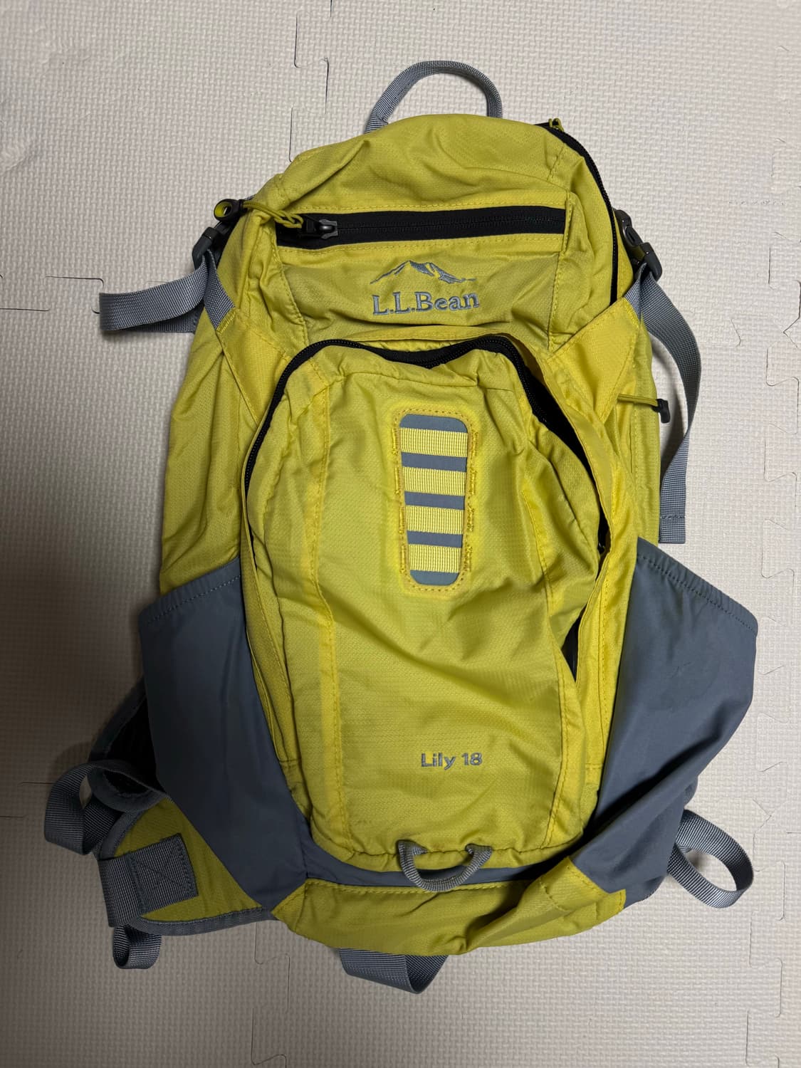 빈티지 LL BEAN 엘엘빈 백팩 상품이미지1