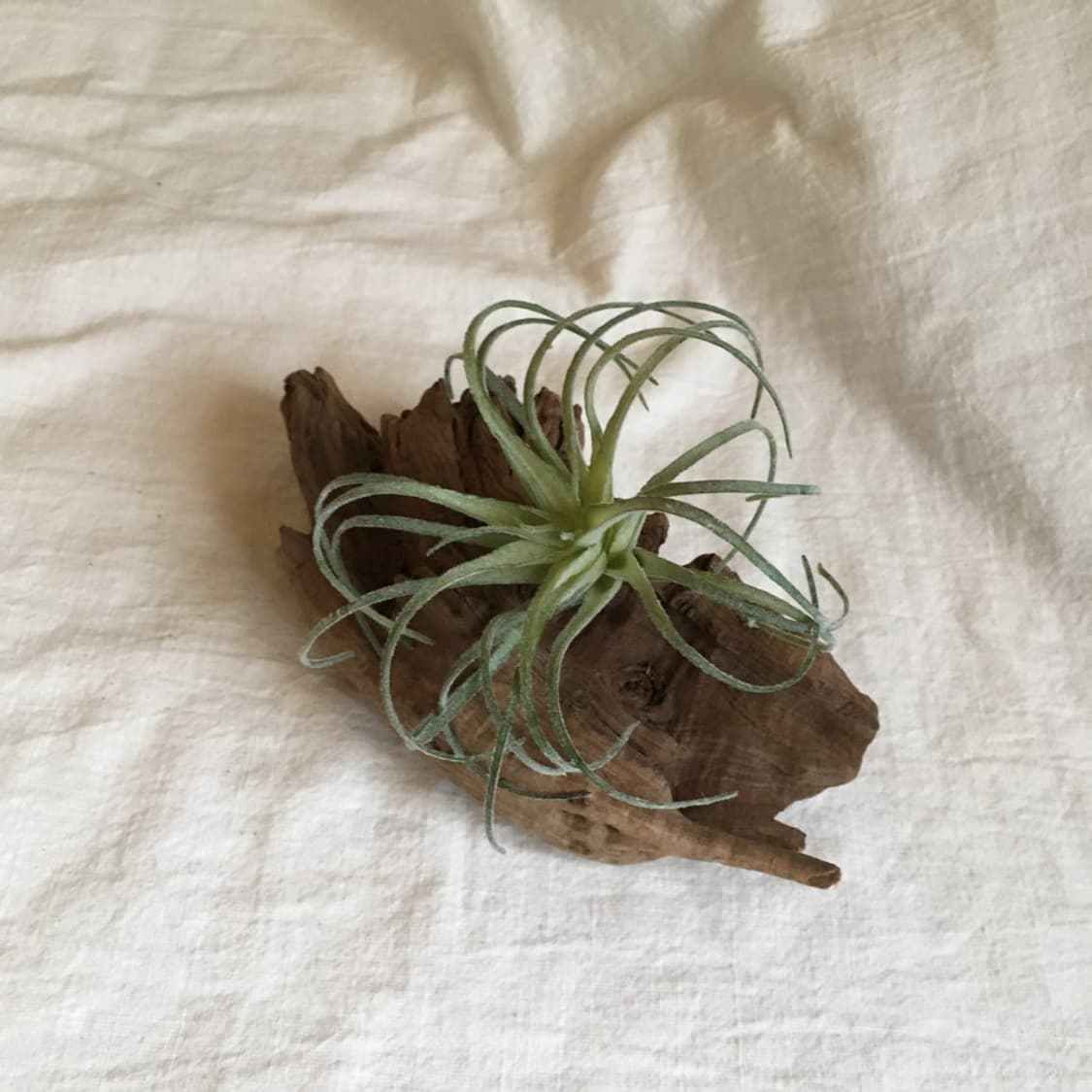 wood object 029 상품이미지4