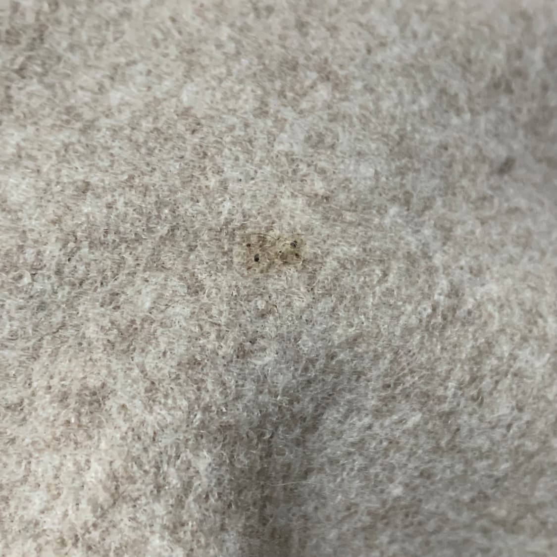 비비안웨스트우드 울 베레모 모카 브라운 상품이미지6