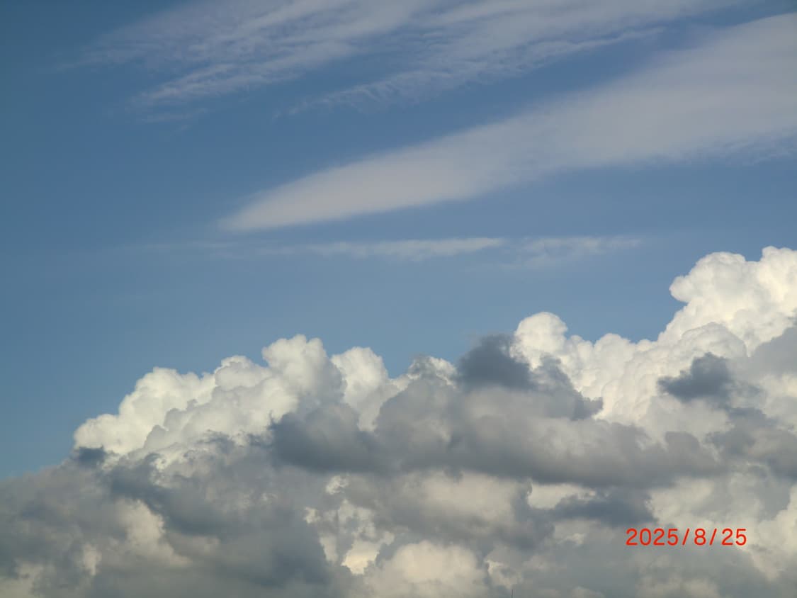 카시오 casio ex-h15 핑크 상품이미지9