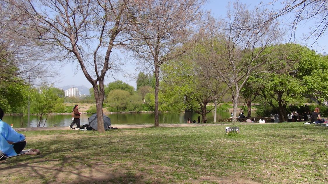 sony gw77v 방수 캠코더/디카 상품이미지9